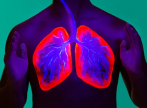 LUNG
