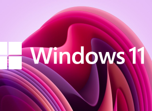 w11