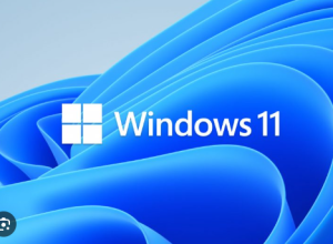 w11